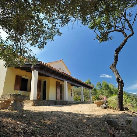 Lierus B&B Gonnosfanàdiga Buitenkant foto